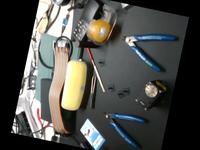 Dataset Image