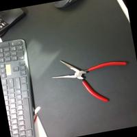 Dataset Image