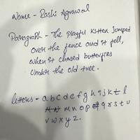 Dataset Image