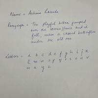 Dataset Image