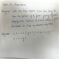 Dataset Image