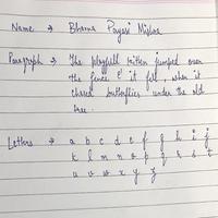 Dataset Image