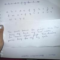 Dataset Image