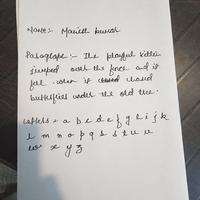 Dataset Image