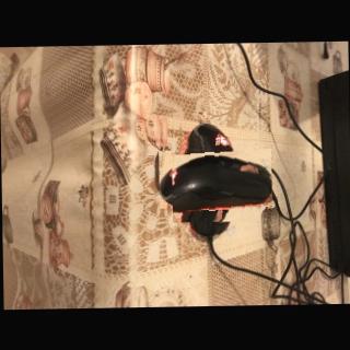 Dataset Image