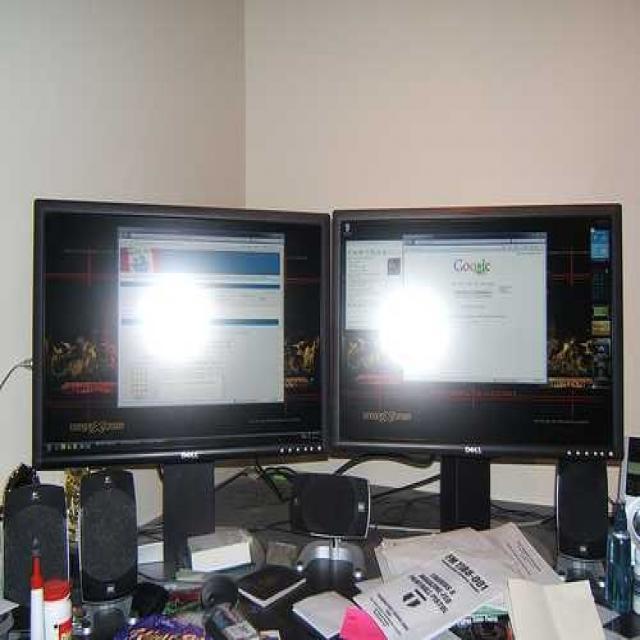 Dataset Image