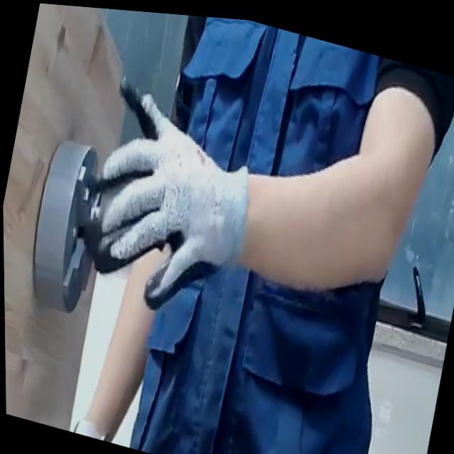 Dataset Image