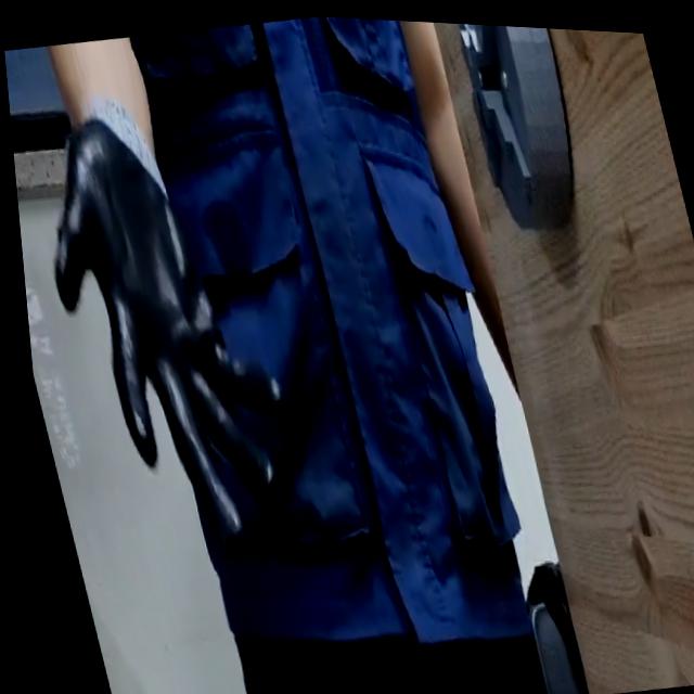 Dataset Image