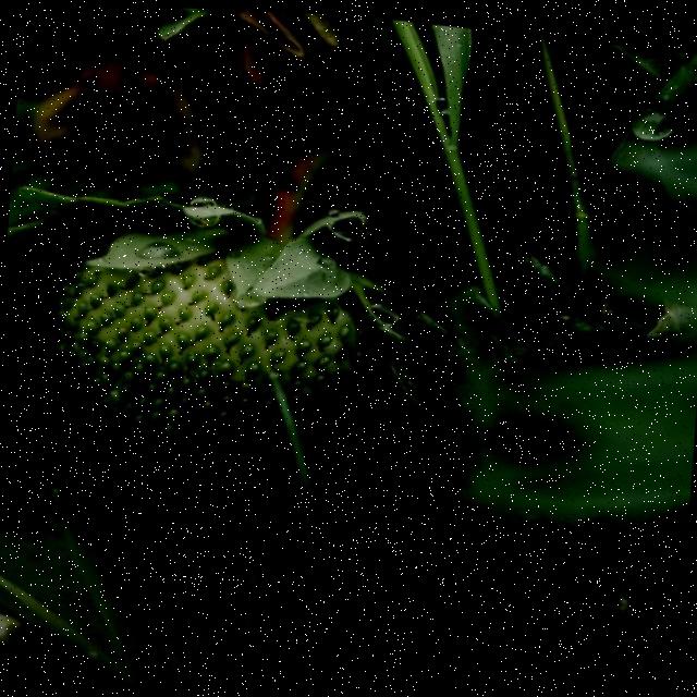 Dataset Image