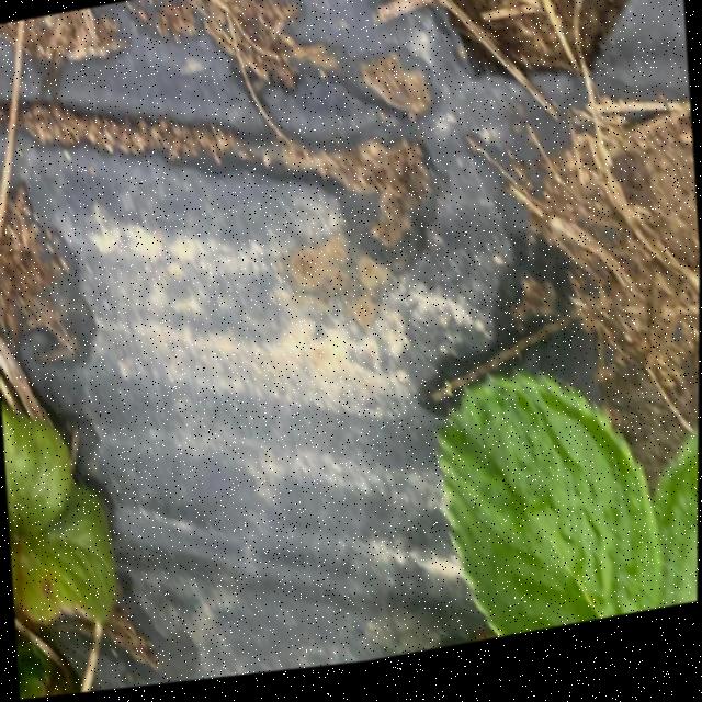 Dataset Image