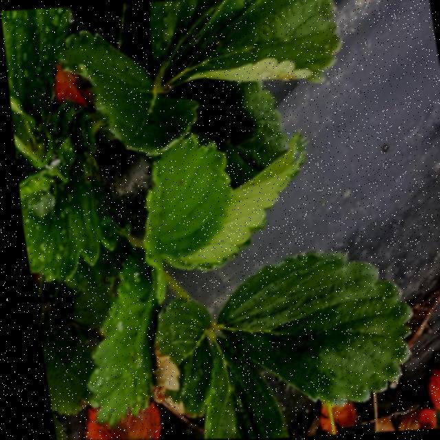 Dataset Image