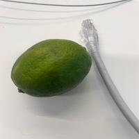 Dataset Image