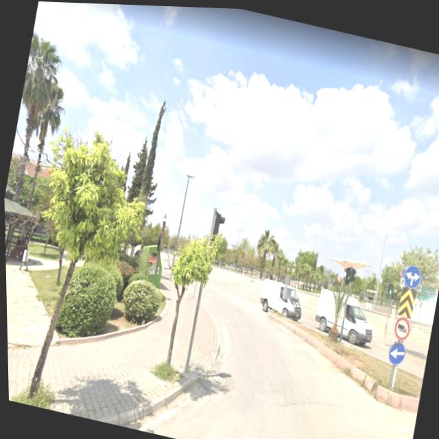 Dataset Image