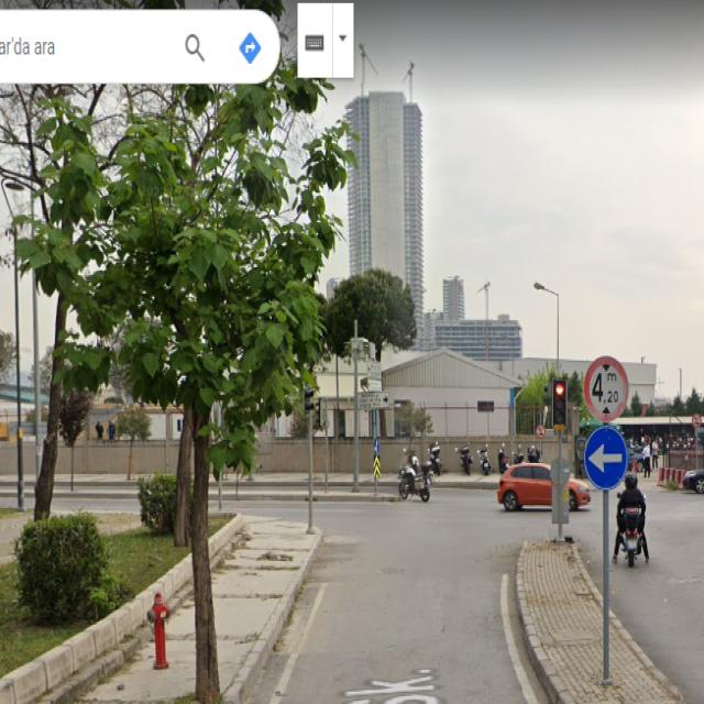Dataset Image