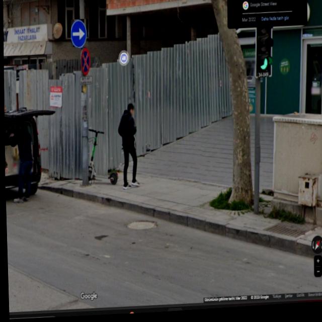 Dataset Image