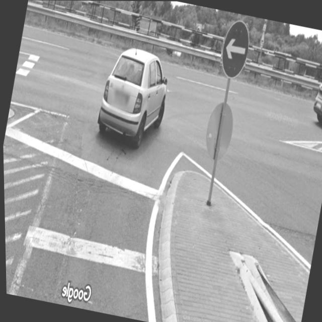 Dataset Image
