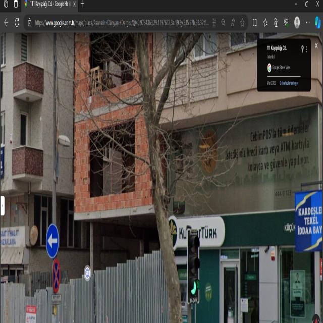 Dataset Image