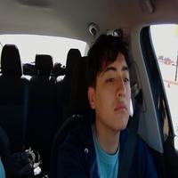 Dataset Image