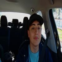 Dataset Image