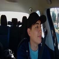 Dataset Image