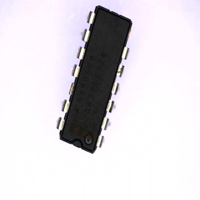 Dataset Image
