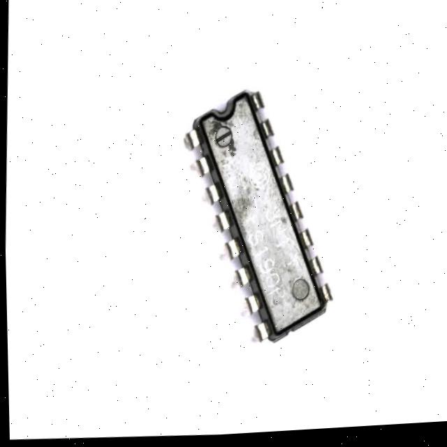Dataset Image