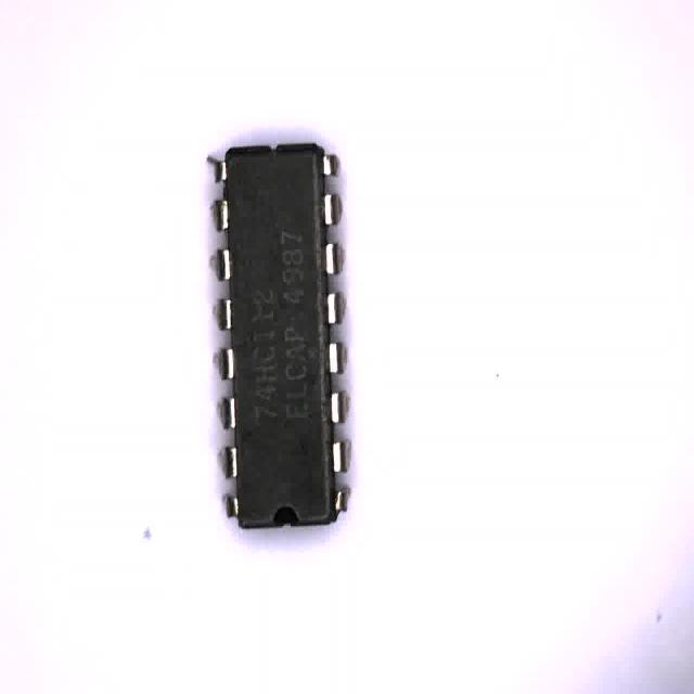 Dataset Image