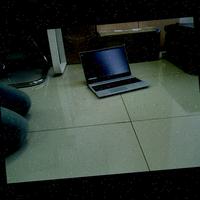 Dataset Image