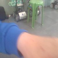 Dataset Image