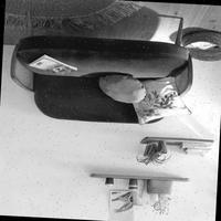 Dataset Image