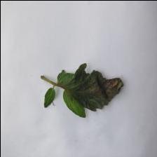 Dataset Image