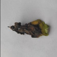Dataset Image