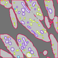 Annotation Visualization