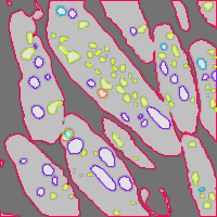 Annotation Visualization