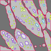 Annotation Visualization