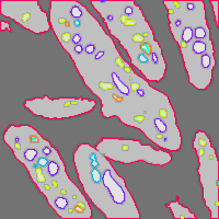 Annotation Visualization