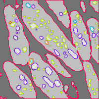 Annotation Visualization