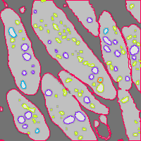 Annotation Visualization