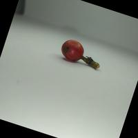 Dataset Image
