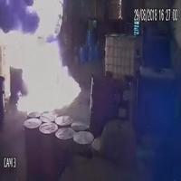 Dataset Image