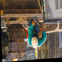 Dataset Image
