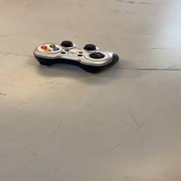 Dataset Image
