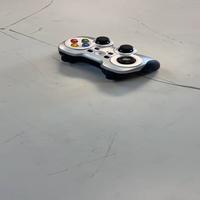 Dataset Image