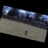 Dataset Image