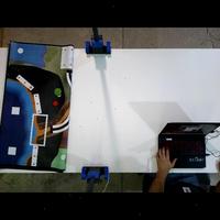 Dataset Image
