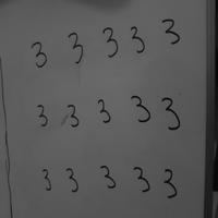 Dataset Image