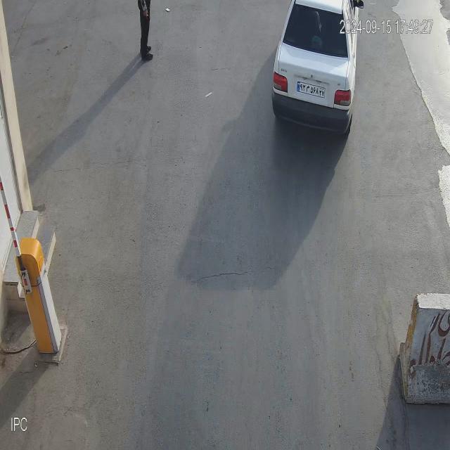 Dataset Image