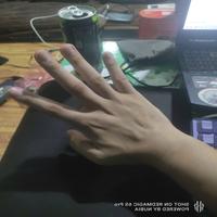 Dataset Image