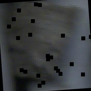 Dataset Image