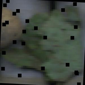 Dataset Image